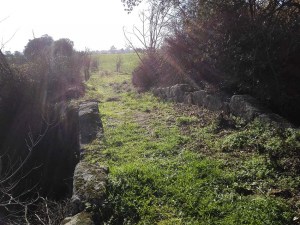 Puente romano Peraleda